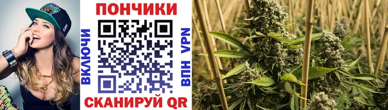 Марихуана Bruce Banner  Камызяк 